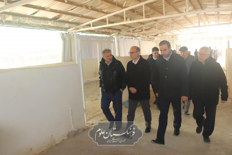 امنیت غذایی 8